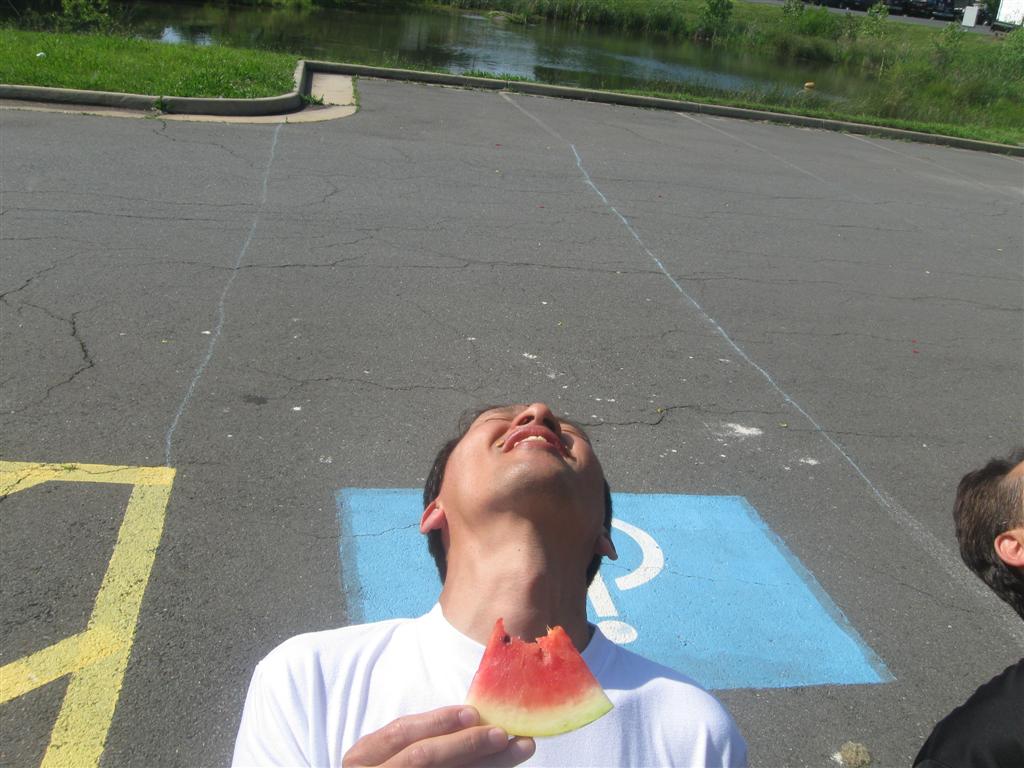 IMG_1442 (Large).jpg